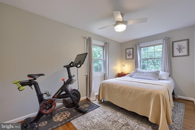 1228 Hunsicker Rd, Lancaster, PA 17601 - bedroom featuring multiple windows, wood finished floors, and ceiling fan