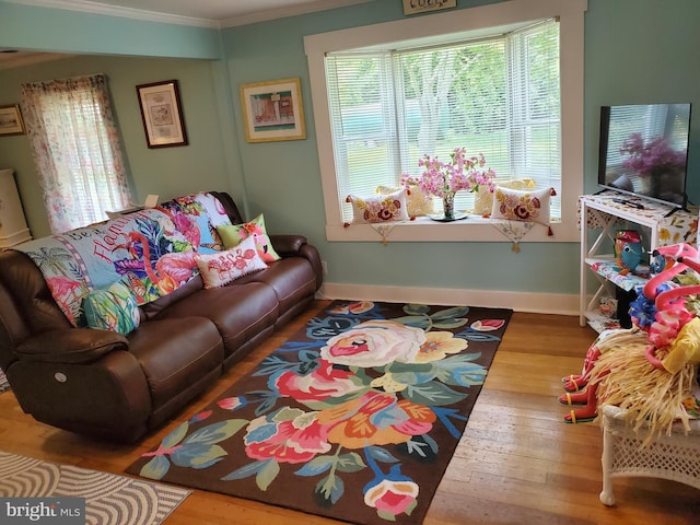 60 Branson Cove Rd, Hague, VA 22469 - living area with ornamental molding and wood-type flooring