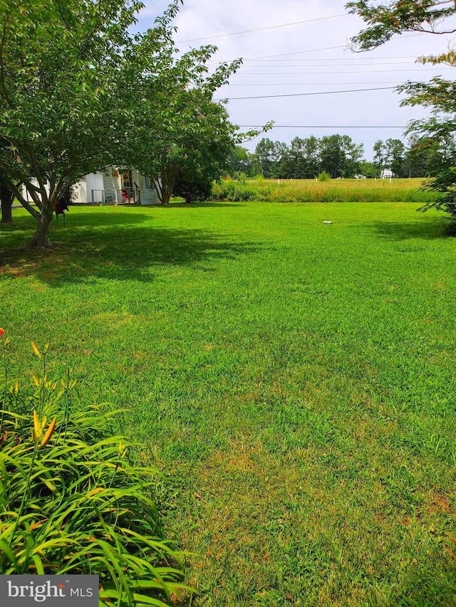 60 Branson Cove Rd, Hague, VA 22469 - view of green lawn