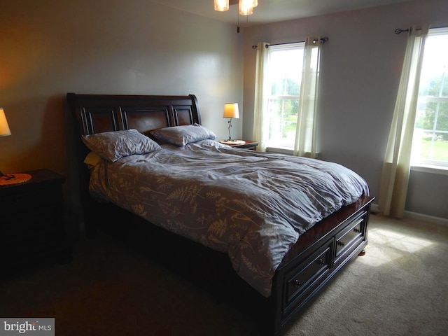 11 Rolling Ridge Dr, Milton, PA 17847 - carpeted bedroom featuring multiple windows