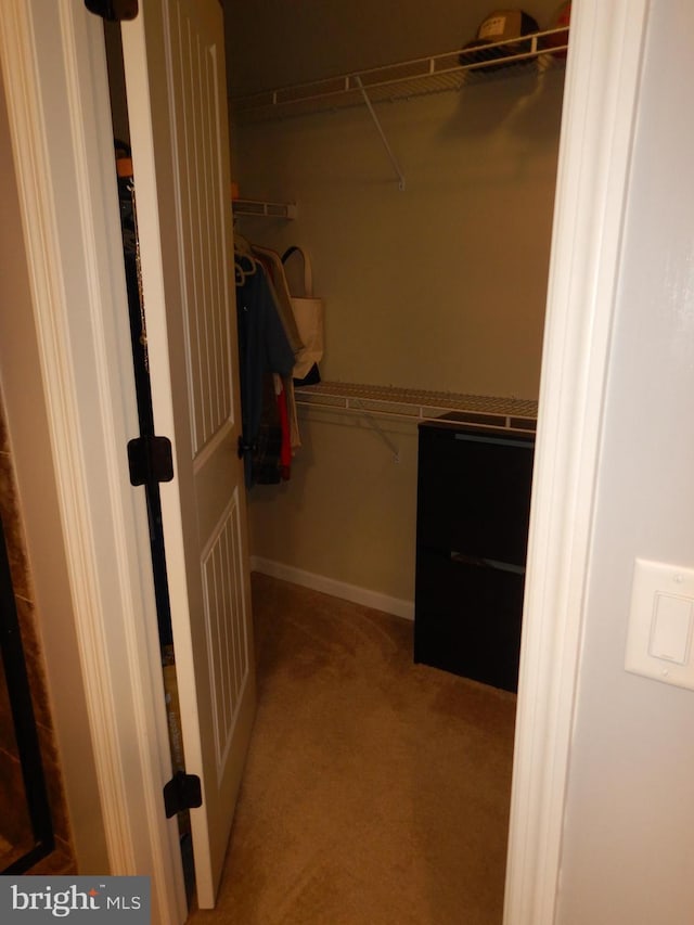 11 Rolling Ridge Dr, Milton, PA 17847 - walk in closet featuring carpet