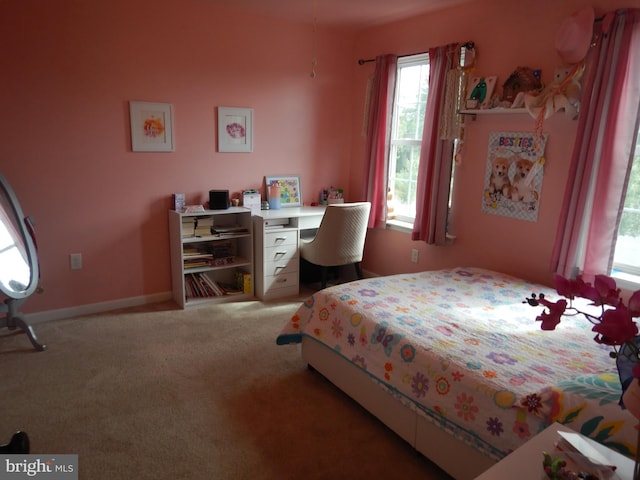 11 Rolling Ridge Dr, Milton, PA 17847 - bedroom featuring carpet and a desk