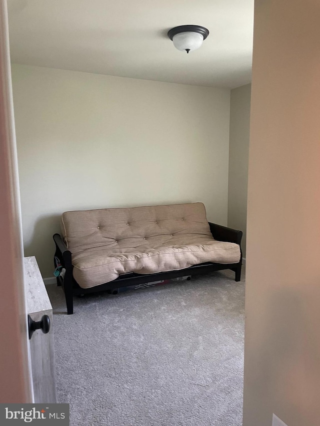 11 Rolling Ridge Dr, Milton, PA 17847 - sitting room with carpet