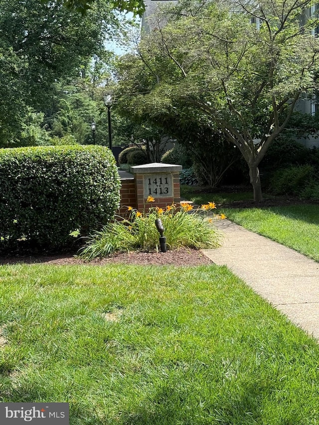 1413 Belle View Blvd Unit A1, Alexandria, VA 22307 - view of green lawn