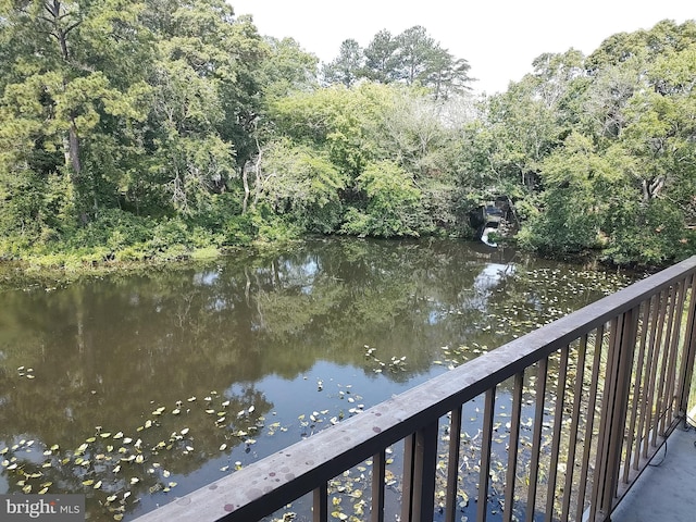 228 Canal Park Dr Unit G-208, Salisbury, MD 21804 - water view