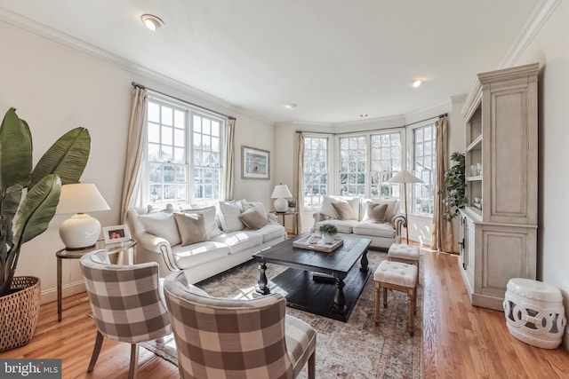 10513 Democracy Ln, Potomac, MD 20854 - living area featuring crown molding and light wood-style floors