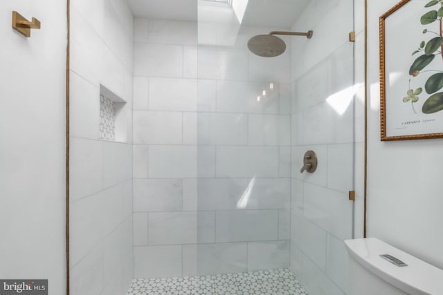 10513 Democracy Ln, Potomac, MD 20854 - bathroom with toilet and tiled shower