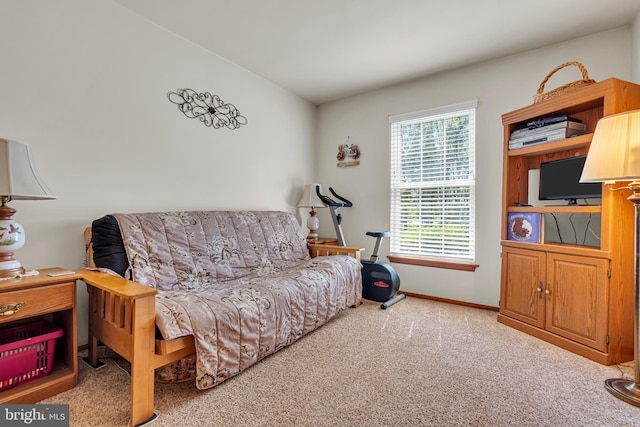 414 Riverview Rd, Forked River, NJ 08731 - sitting room with carpet flooring and baseboards