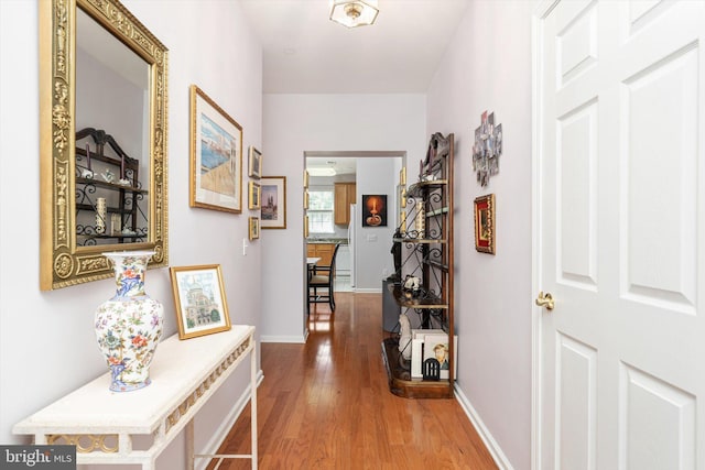 1221 Colt Cir Unit Q, Lawrenceville, NJ 08648 - hall featuring wood finished floors and baseboards