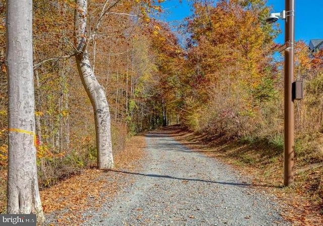 637 Wallingford Rd Unit 202, Bel Air, MD 21014 - view of street with a forest view