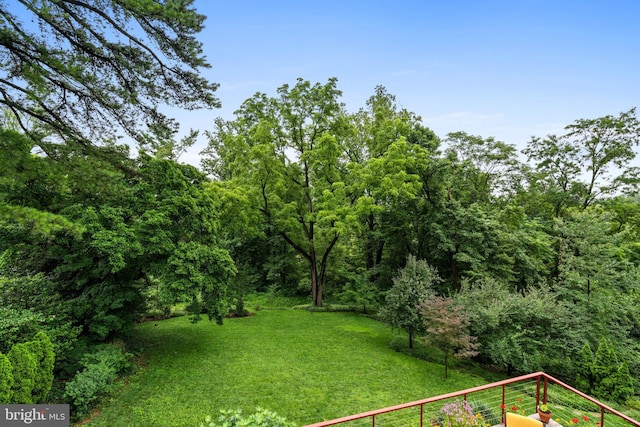 2714 Quebec St NW, Washington, DC 20008 - view of green lawn