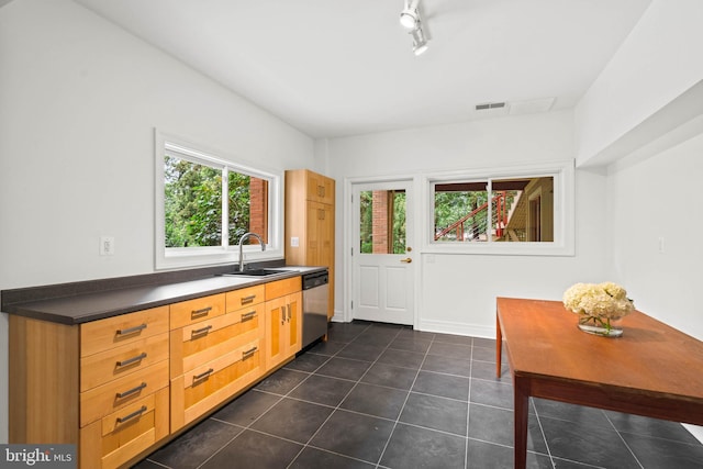 2714 Quebec St NW, Washington, DC 20008 - kitchen featuring dishwasher, dark tile patterned floors, and dark countertops