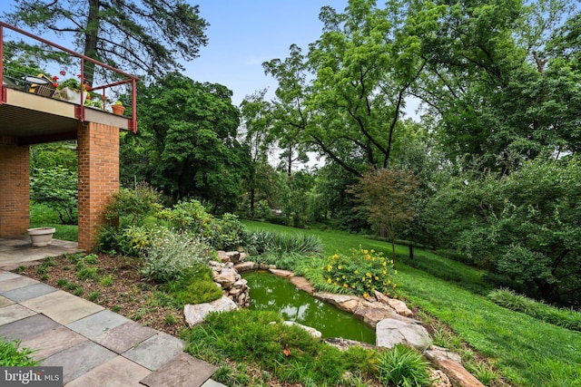 2714 Quebec St NW, Washington, DC 20008 - view of yard featuring a garden pond