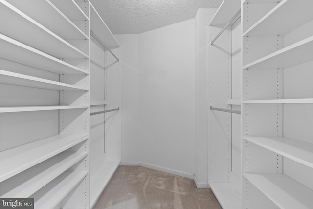 19385 Cypress Ridge Ter Unit 503, Leesburg, VA 20176 - spacious closet with carpet