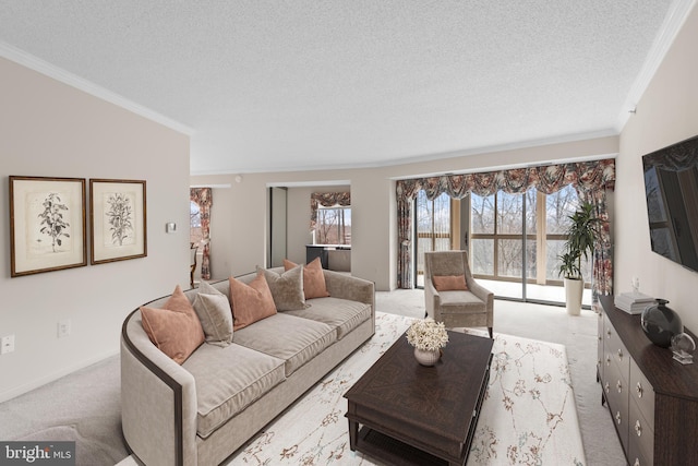 19385 Cypress Ridge Ter Unit 503, Leesburg, VA 20176 - living area with a textured ceiling, crown molding, light colored carpet, and plenty of natural light