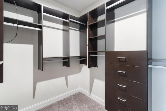 8266 Saint Francis Dr, Severn, MD 21144 - spacious closet featuring carpet