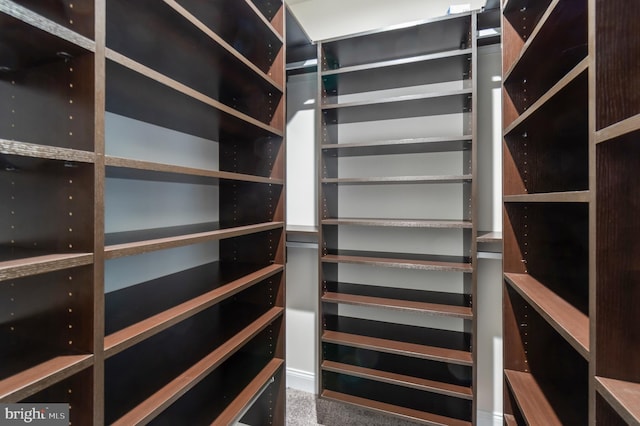 8266 Saint Francis Dr, Severn, MD 21144 - view of spacious closet