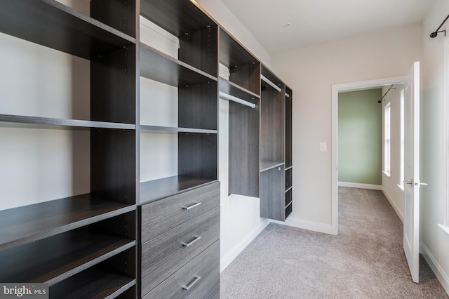 8266 Saint Francis Dr, Severn, MD 21144 - walk in closet with carpet flooring