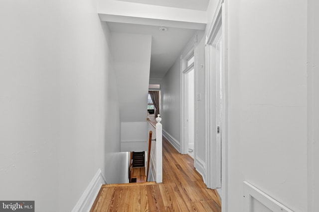 117 Pearl St, Lancaster, PA 17603 - hallway with an upstairs landing and light wood-style flooring