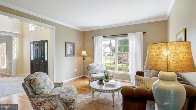 24 Montfort Dr, Belle Mead, NJ 08502 - living area featuring light wood finished floors and crown molding