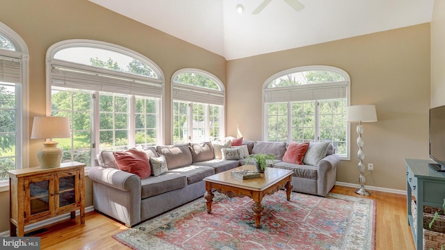 24 Montfort Dr, Belle Mead, NJ 08502 - living room with light wood finished floors, high vaulted ceiling, and ceiling fan