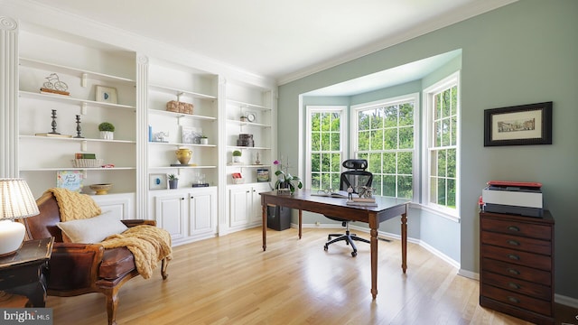 24 Montfort Dr, Belle Mead, NJ 08502 - office with light wood-style floors, ornamental molding, and built in features