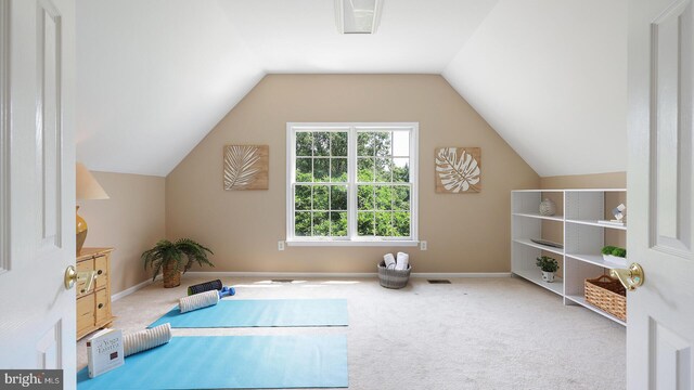 24 Montfort Dr, Belle Mead, NJ 08502 - workout area with carpet flooring and vaulted ceiling