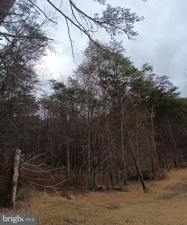 0 Bunker Hill Rd, Everett, PA 15537