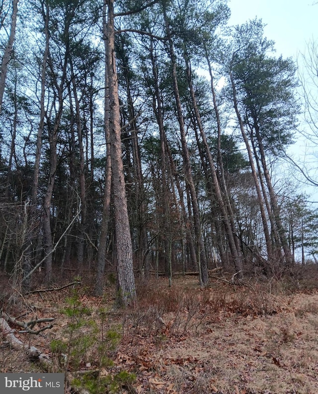 0 Bunker Hill Rd, Everett, PA 15537