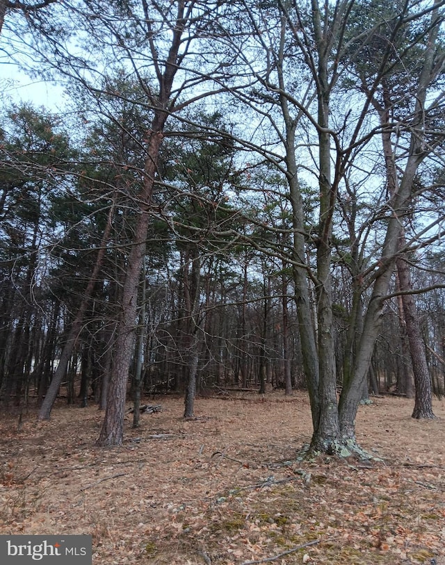 0 Bunker Hill Rd, Everett, PA 15537