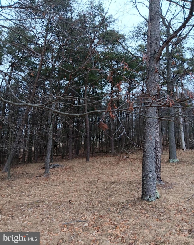 0 Bunker Hill Rd, Everett, PA 15537