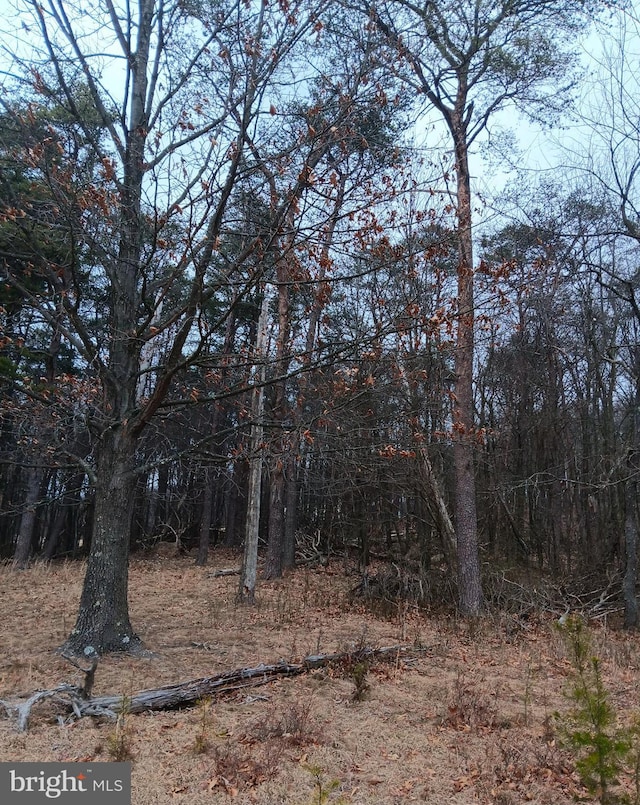 0 Bunker Hill Rd, Everett, PA 15537