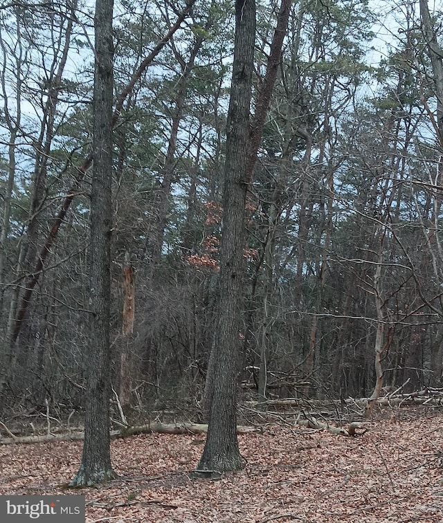 0 Bunker Hill Rd, Everett, PA 15537