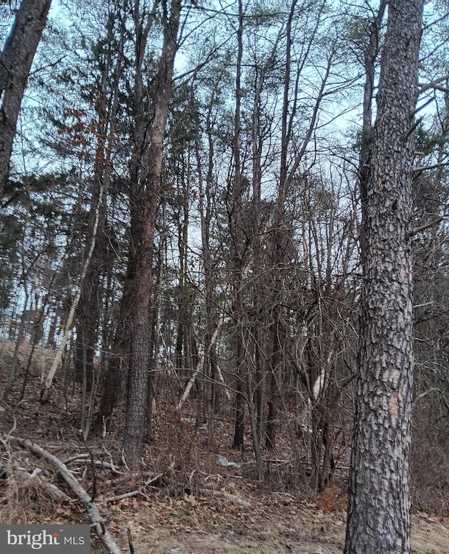 0 Bunker Hill Rd, Everett, PA 15537