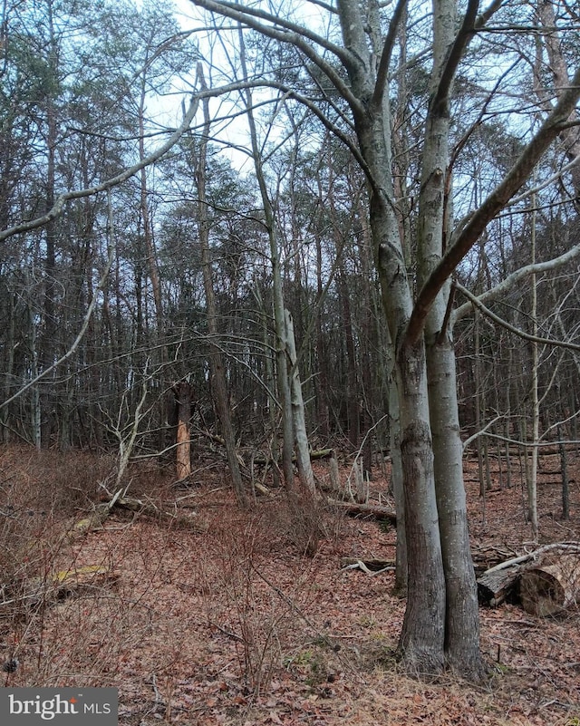 0 Bunker Hill Rd, Everett, PA 15537