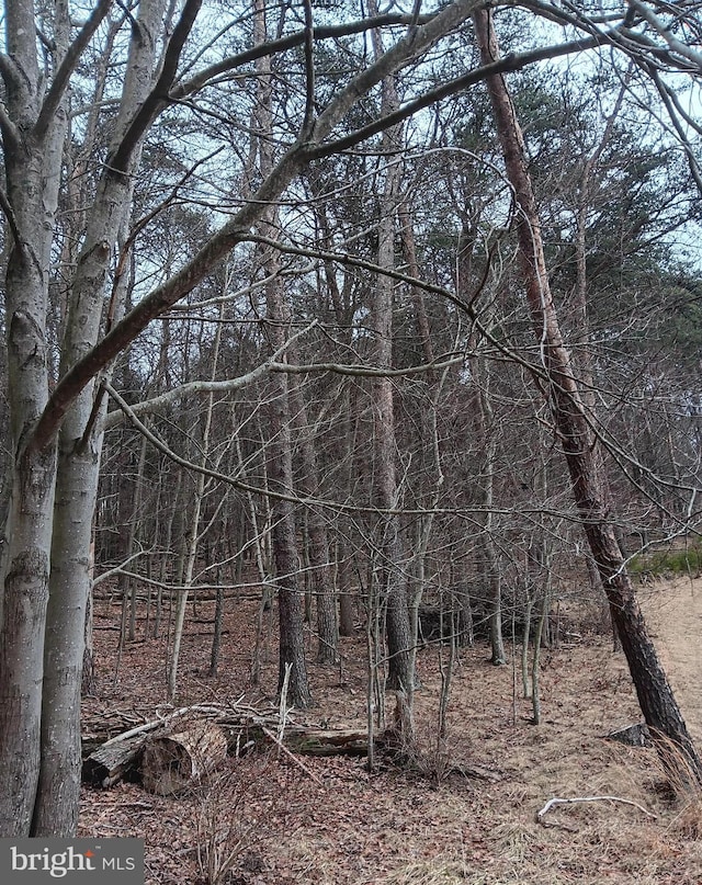 0 Bunker Hill Rd, Everett, PA 15537