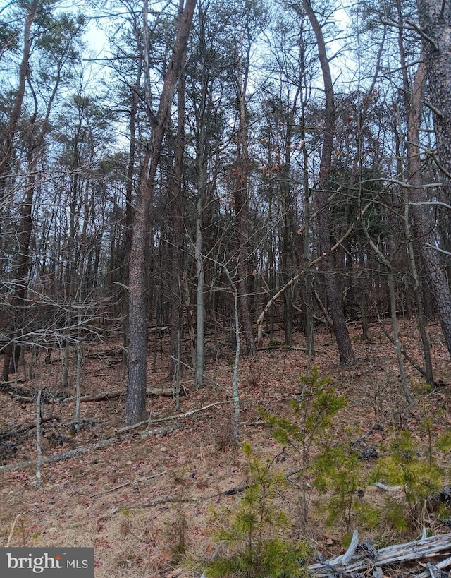 0 Bunker Hill Rd, Everett, PA 15537