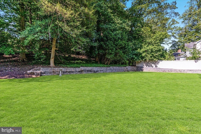 5124 37th St N, Arlington, VA 22207 - view of yard