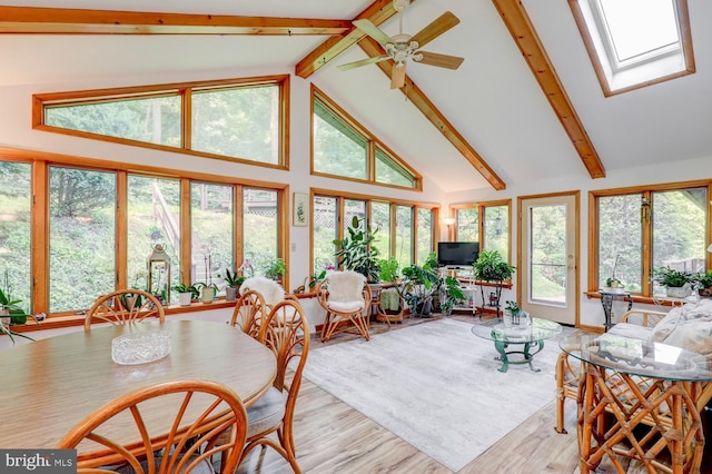 331 Spring Garden St, Ephrata, PA 17522 - sunroom featuring a skylight and healthy amount of natural light