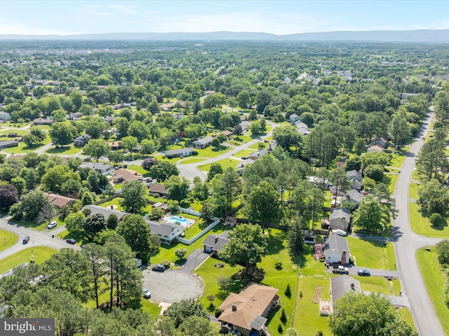 117 Amherst Ct, Stephens City, VA 22655 - drone / aerial view