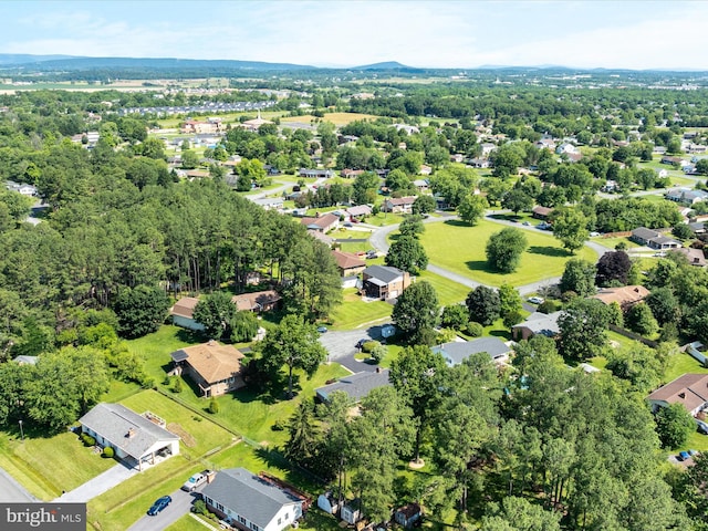 117 Amherst Ct, Stephens City, VA 22655 - aerial view of residential area