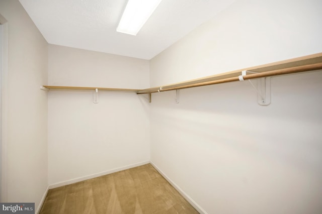 5599 Small Oak Ct, Woodbridge, VA 22192 - walk in closet featuring light colored carpet