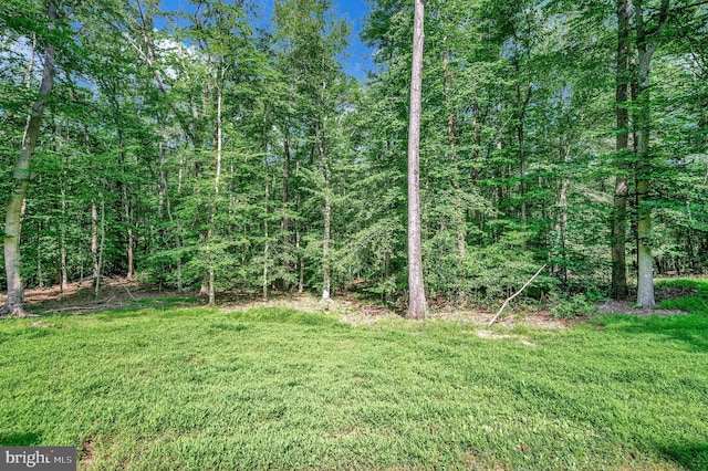 5599 Small Oak Ct, Woodbridge, VA 22192 - view of green lawn