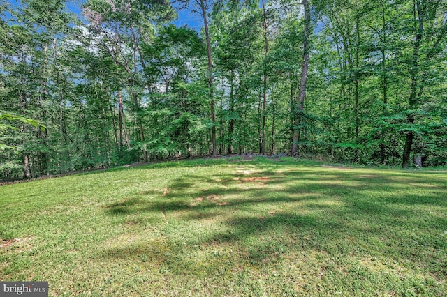 5599 Small Oak Ct, Woodbridge, VA 22192 - view of green lawn