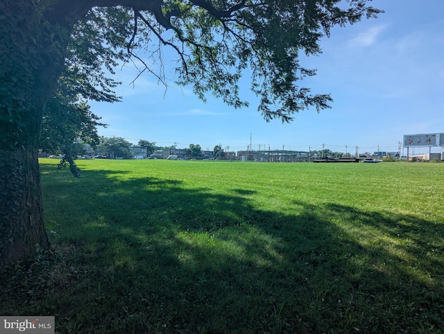 1625 Spruce, Baltimore City, MD 21226 - view of yard