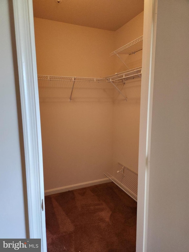 938 Newington Ct, Capitol Heights, MD 20743 - spacious closet with carpet flooring