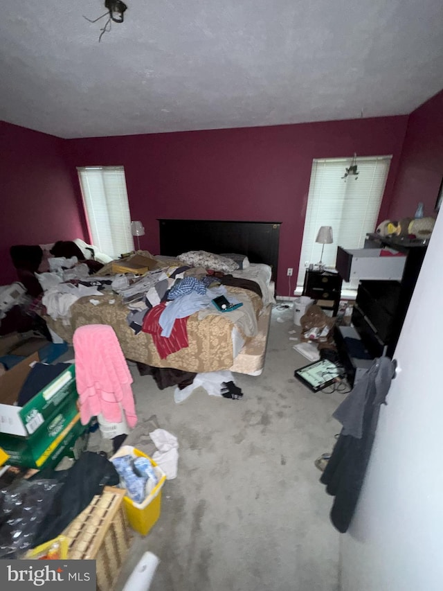 6309 Red Cedar Pl Unit 104, Baltimore, MD 21209 - view of carpeted bedroom