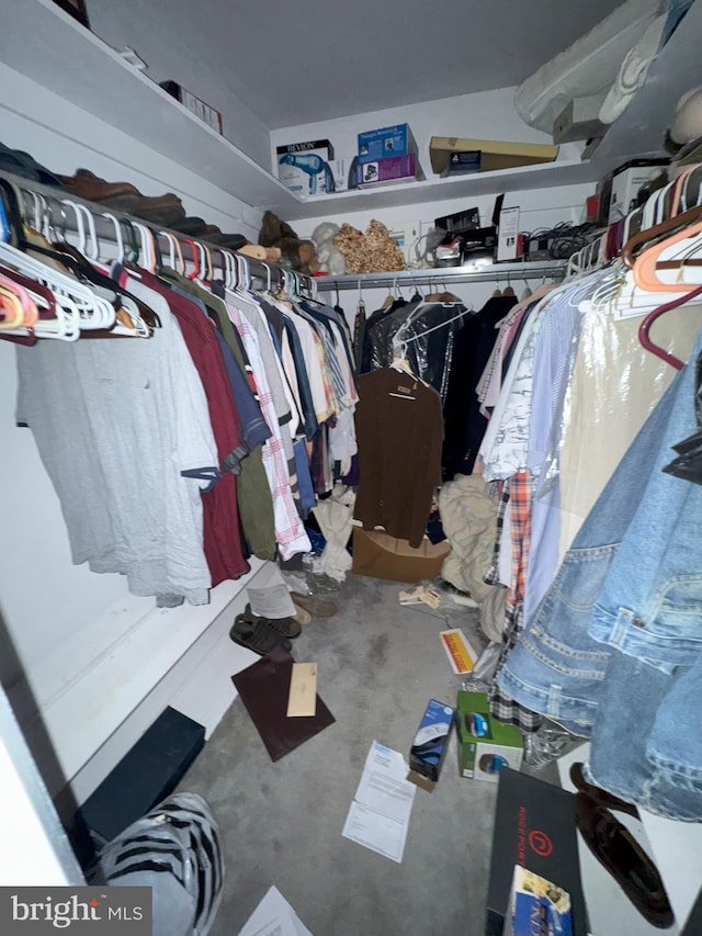6309 Red Cedar Pl Unit 104, Baltimore, MD 21209 - view of spacious closet