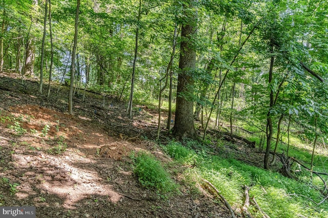 10 Dove Trl, Fairfield, PA 17320