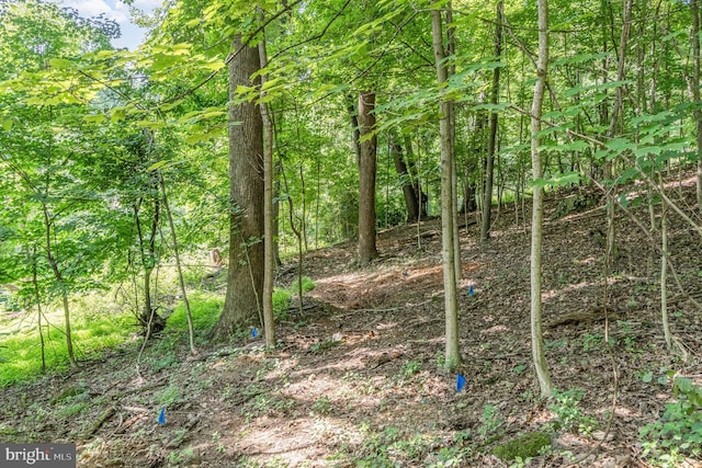 10 Dove Trl, Fairfield, PA 17320